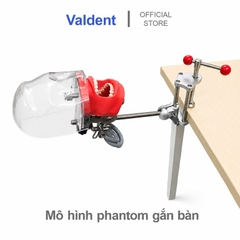 Mô hình phantom đào tạo thực hành gắn bàn [ chất liệu inox ]