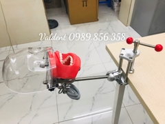 Mô hình thực hành nha khoa gắn bàn - Đầu Phantom thực hành nha khoa
