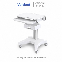 Xe đẩy để máy laptop và máy scan