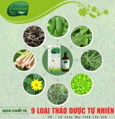 Nước Tắm Gội Thảo Dược Bobber cho bé từ sơ sinh phòng ngừa mụn, rôm sảy, hăm da