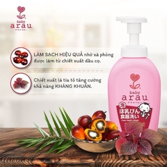 Nước Rửa Bình Arau Baby Nhật Bản (CHAI)