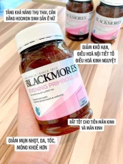 TPCN - Hoa Anh Thảo Úc Blackmore