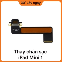 Thay Chân Sạc iPad Mini 1