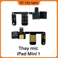 Thay Mic iPad Mini 1