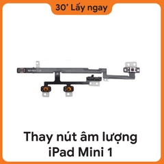 Thay Dây Âm Lượng iPad Mini 1