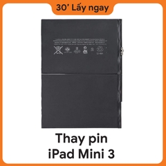 Thay Pin iPad Mini 3