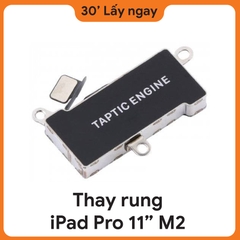 Thay Rung iPad Pro M4 13 2024