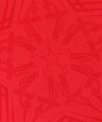 Bộ đội  Đội tuyển Viêt Nam 2024 ( Bản Fan)