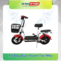 Xe Đạp Điện Avent Trái Nho