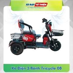Xe Điện 3 Bánh Tricycle 08