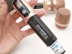 Micro không dây BAIER BS790A