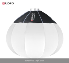 Softbox Cầu 65CM (TRIOPO)