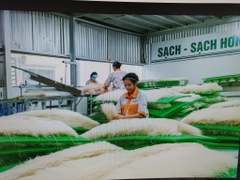 Mì tăm Thành Nam 500gr - Mã vạch 8938544980040