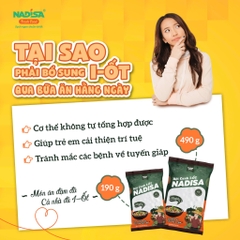 Bột canh i-ốt Nadisa 490g