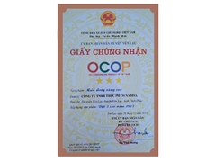 Miến dong vùng cao (sợi dẹt) 500 gr - Mã vạch 8938544980149