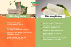 Miến dong vùng cao 500gr - Mã vạch sản phẩm 8938544980101