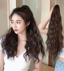 Ngoặm xù sóng