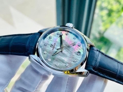 Omega Seamaster Aqua Terra Tahiti Mother of Pearl Dial Watch 231.13.39.21.57.001
