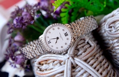 Frederique Constant 200WHDSD6B Size 25