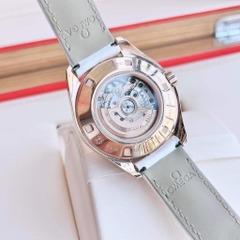 Omega 23153342055001 231.53.34.20.55.001