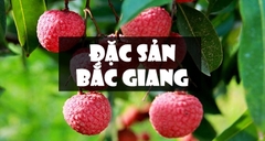 Điểm danh 9 đặc sản Bắc Giang ăn một lần là nhớ