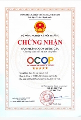 KẸO DỪA SÁP SẤY NGUYÊN CHẤT ( 100g )
