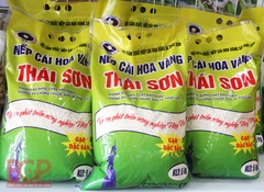 GẠO NẾP CÁI HOA VÀNG THÁI SƠN