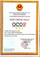 BÁNH TRÁNG XOÀI CAM LÂM (200g)
