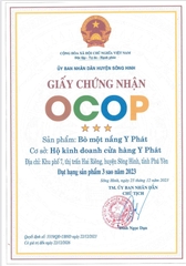 BÒ MỘT NẮNG Y PHÁT (2 túi x 500g -Tặng muối kiến vàng)