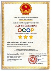 BỘT MẦM LÚA MẠCH LOTEKFARM (Hộp 20 gói)