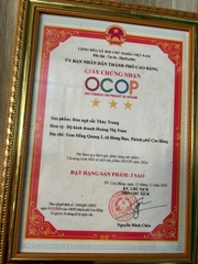 BÚN RAU CỦ NGŨ SẮC THUỲ TRANG (500g)
