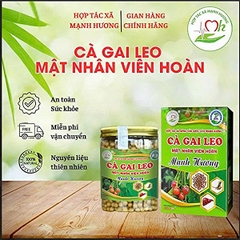 TRÀ TÚI LỌC CÀ GAI LEO ( 300g )