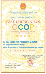 CÀ PHÊ PHA PHIN ROBUSTA HONEY (500g)