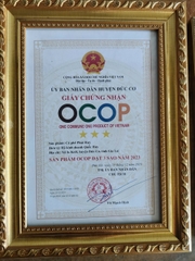 CÀ PHÊ PHÁT HUY (500g)