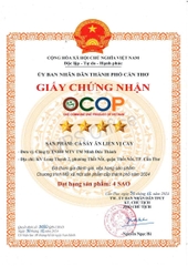 CÁ SẤY ĂN LIỀN VỊ CAY (Gói 25g)