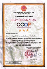 CAO AN XOA MAI THỊ THÚY (100g)