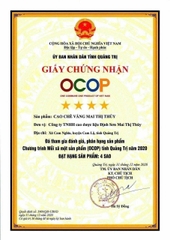 CAO CHÈ VẰNG MAI THỊ THỦY (20 miếng 500g)