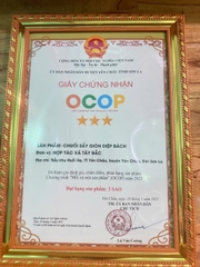 CHUỐI SẤY GIÒN  - DIỆP BÁCH (200g)