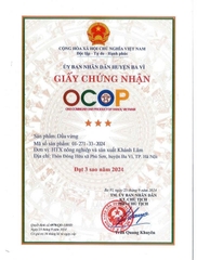 DẦU VỪNG (500ml)
