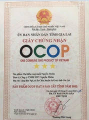 HẠT ĐIỀU RANG MUỐI NGUYỄN THIÊM (Hũ dài 400g)