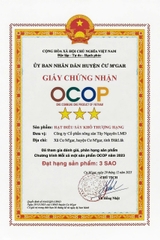 HẠT ĐIỀU SẤY KHÔ THƯỢNG HẠNG ( 1 Hộp 500g)