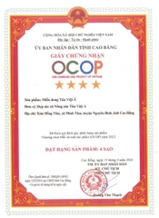 MIẾN DONG TÂN VIỆT Á (túi 1 kg)
