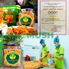 NẤM ĐÔNG TRÙNG HẠ THẢO KHÔ VINABIOMUSH (hộp 10 gr)