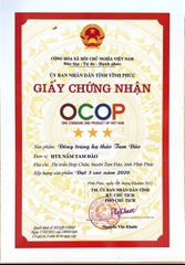 ĐÔNG TRÙNG HẠ THẢO TAM ĐẢO ( hộp 10g)