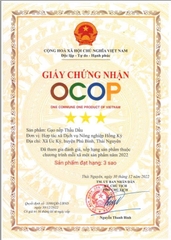 GẠO NẾP THẦU DẦU (1Kg)