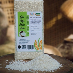 GẠO NẾP THẦU DẦU (1Kg)