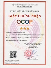GỪNG SẤY DẺO SỮA ONG CHÚA (90g)