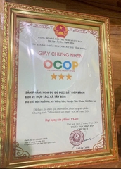 HOA ĐU ĐỦ ĐỰC SẤY DIỆP BÁCH (túi 250g)