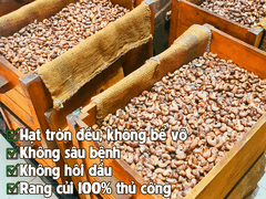 Hộp quà tặng hạt điều rang củi loại đặc biệt 500 g
