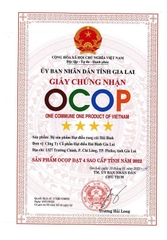 HẠT ĐIỀU RANG CỦI HẢI BÌNH (Hũ 110g)